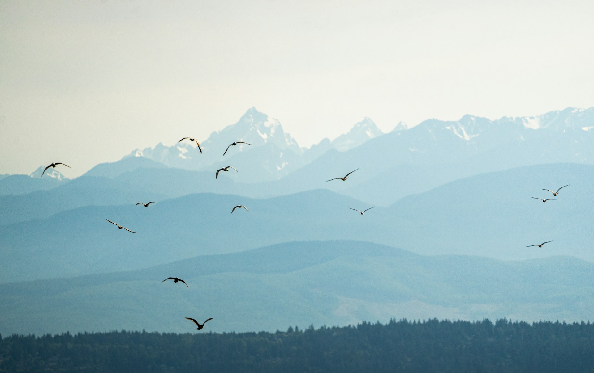 Mindfulness in the Digital Age: Finding Balance in a Busy World